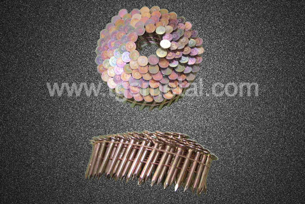 Coil roofing nails